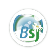 Logo BSJ Sud 
